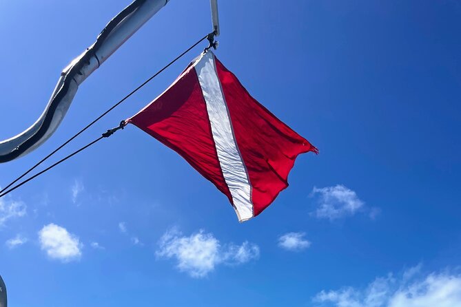 Eco Conscious Reef Diving with Southpoint Divers - Practical Tips and Considerations