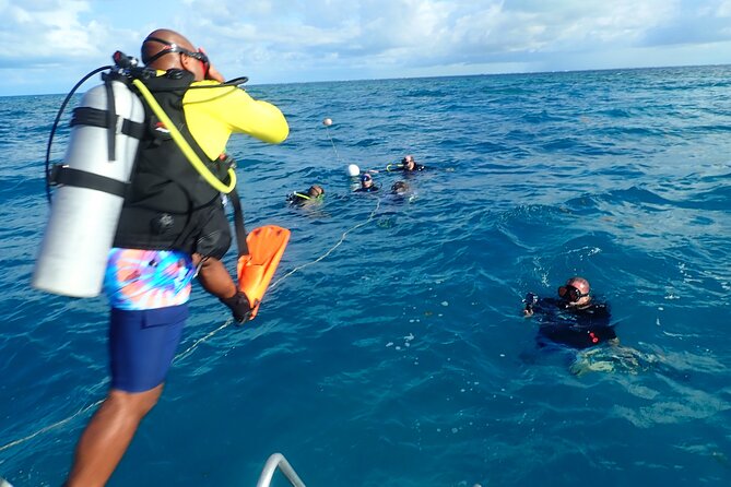 Eco Conscious Reef Diving with Southpoint Divers - Why Choose Southpoint Divers for Reef Exploration