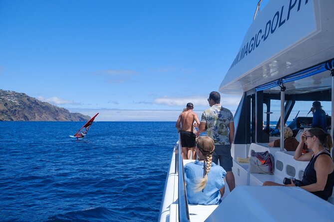 Eco-Friendly Catamaran Dolphin and Whale Watching - Departure from Funchal Marina Into the Atlantic