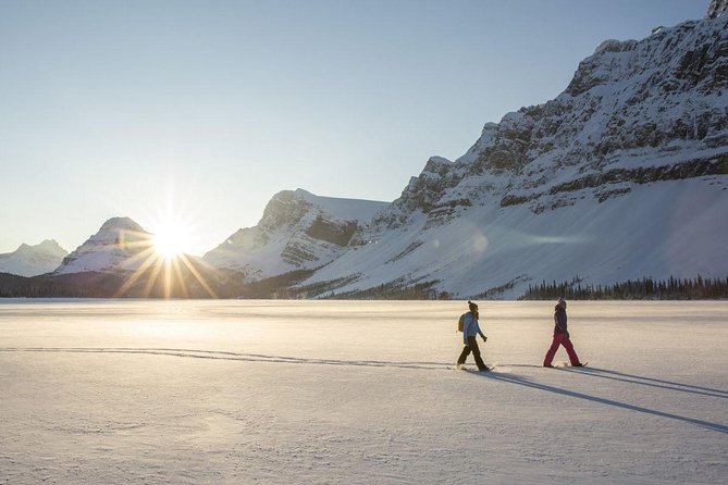 Eco friendly snowshoeing in Scenic Landscape - Discover Tromso’s Scenic Winter Landscape on a Snowshoeing Tour