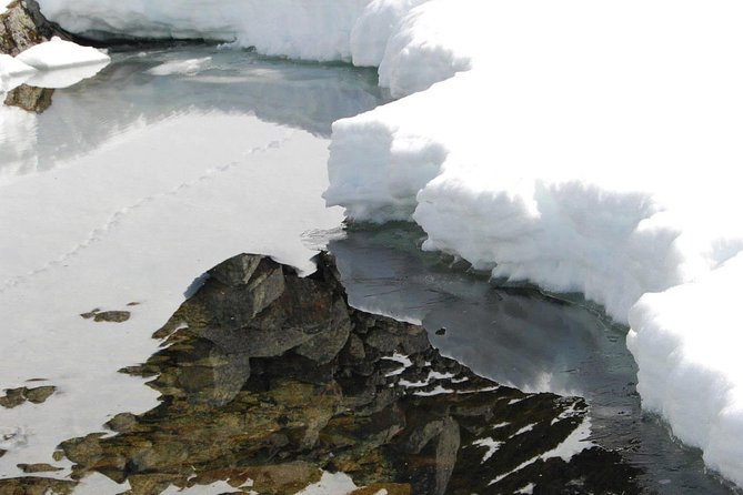 Eco friendly snowshoeing in Scenic Landscape - Snowshoeing in Tromso’s Natural Settings