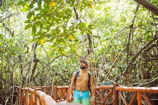 Eco Park Casa Tortuga Cenotes and Tulum Ruins! Riviera Maya Round Transportation - Logistics and Transportation Details