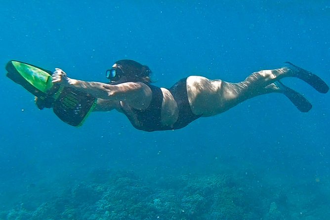 Eco Sea Scooter Guided Beach Tour From The Famous Kapalua Bay - The Role of Guides and Educational Focus