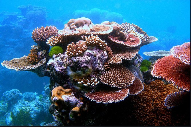 Eco Sea Scooter Guided Beach Tour From The Famous Kapalua Bay - Safety Measures and Equipment