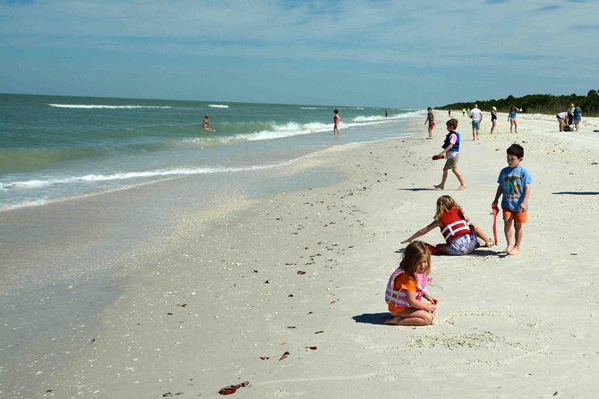 Eco Shelling Cruise to Keewaydin Island - Keewaydin Island: Shelling and Beach Exploration