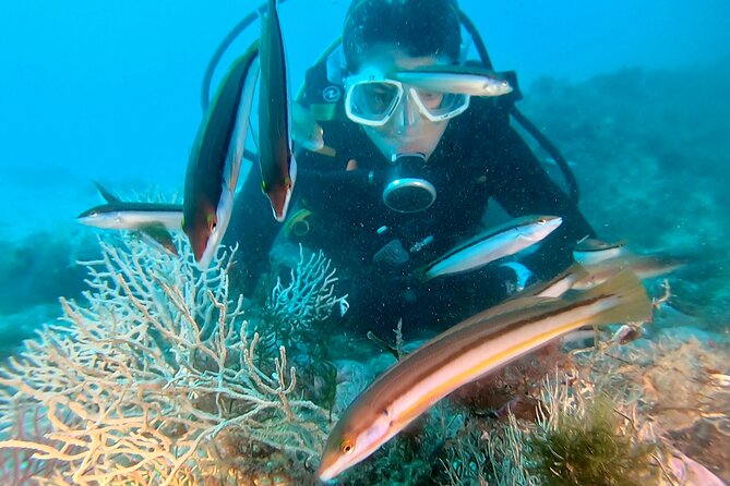 Eco - Try Dive - What the Eco Dive Experience Involves