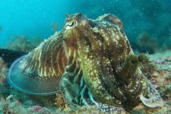 Eco - Try Dive - Group Size and Booking Details