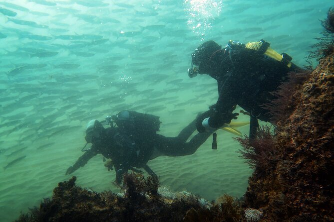 Eco - Try Dive - Physical Requirements and Accessibility