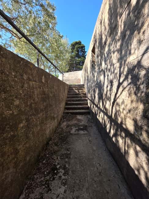 Eco tuk tuk Highlights of Zadar - Scenic Views and Photo Opportunities in Zadar’s Local Areas