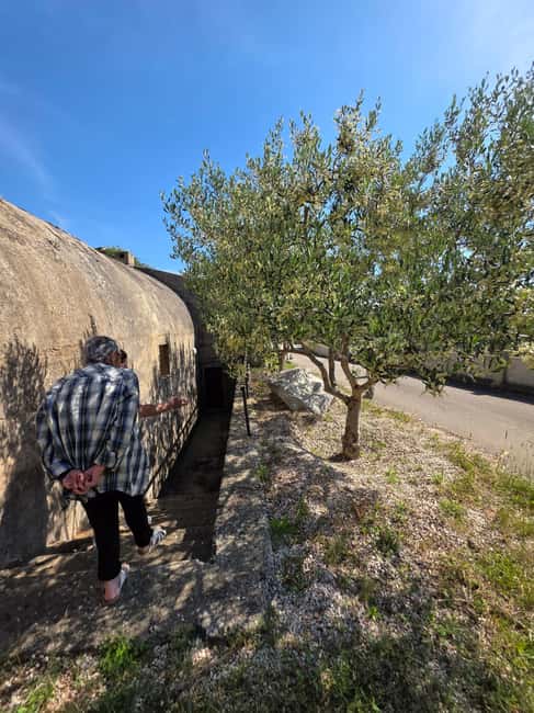 Eco tuk tuk Highlights of Zadar - The Sound of the Sea Organs and the City Walls