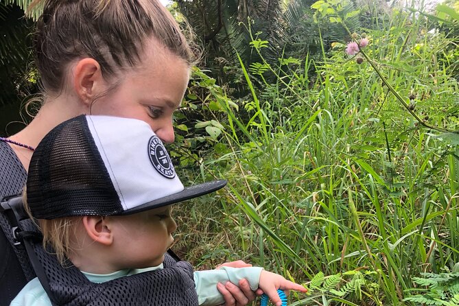 EcoHike experience through the jungle, mountains and hidden beach - The Secluded Beach: A Peaceful Rest Spot