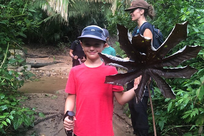 EcoHike experience through the jungle, mountains and hidden beach - How the Guides Enhance the Experience