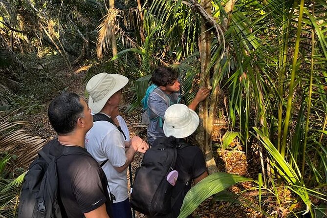 EcoHike experience through the jungle, mountains and hidden beach - Why This Tour Stands Out in Sayulita