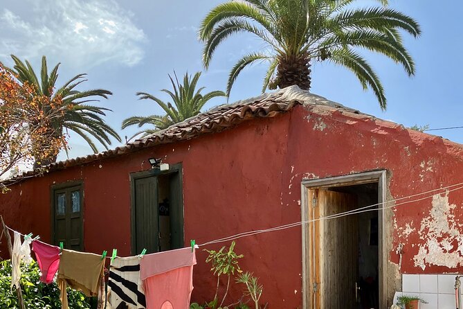 Ecological Banana Plantation Tour - Practical Details: Meeting Point and Accessibility