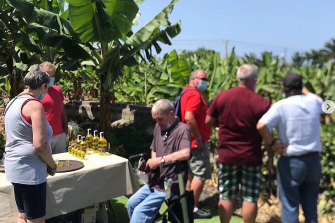 Ecological Banana Plantation Tour - Why This Tour Stands Out in Tenerife