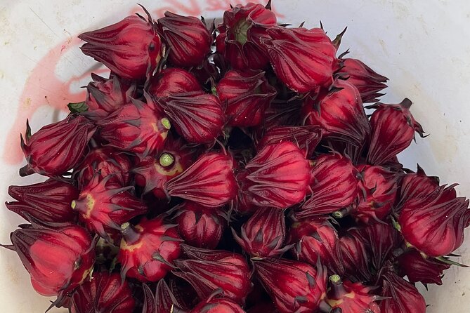 Edible Hibiscus Guided Farm Tour (Big Island) - The Unique Flavors and Snacks