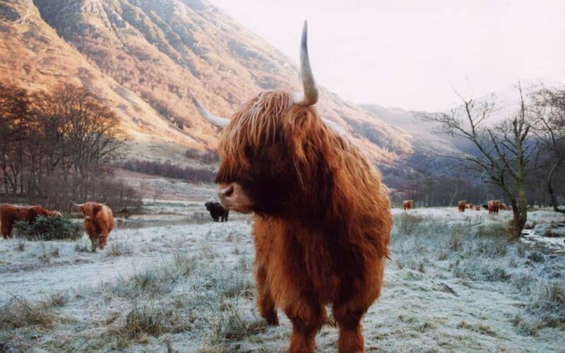 Edinburgh: 18-39s 3-Day Tour of Scottish Highlands & Skye - Key Points