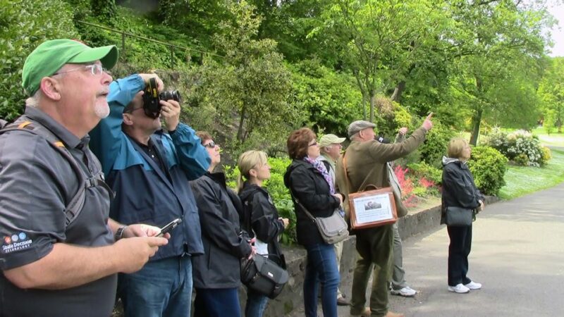 Edinburgh: City Highlights Private Guided Walking Tour - Logistics and Practical Tips