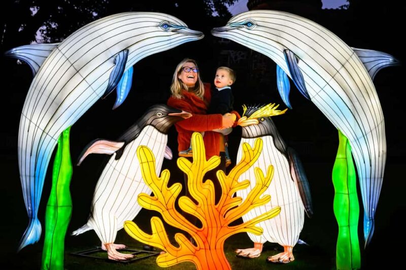 Edinburgh: Edinburgh Zoo Giant Lanterns Entry Tickets - How to Access the Edinburgh Zoo Lantern Trail