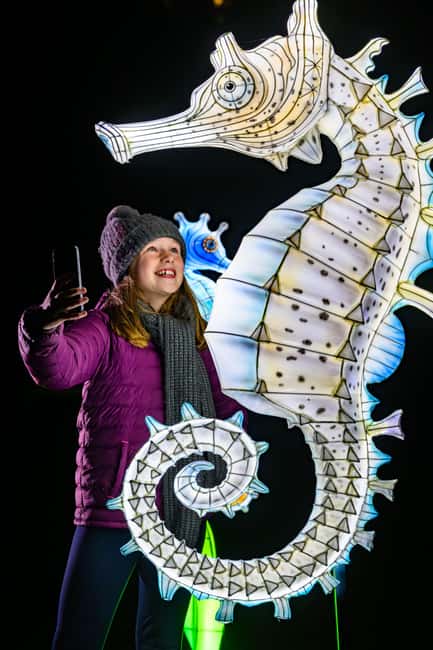 Edinburgh: Edinburgh Zoo Giant Lanterns Entry Tickets - Final Thoughts on the Edinburgh Giant Lanterns Event