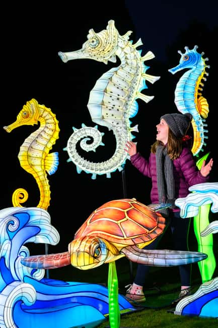 Edinburgh: Edinburgh Zoo Giant Lanterns Entry Tickets - Frequently Asked Questions