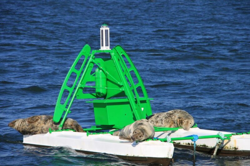 Edinburgh: 'Firth of Forth' Three Bridges Sightseeing Cruise - The Scenic Route: Bridges and Islands