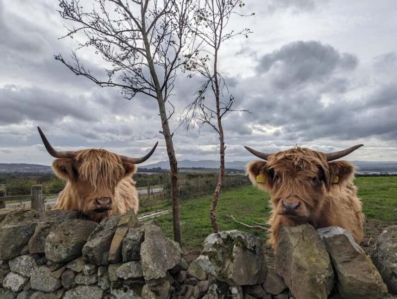 Edinburgh: Harry Potter, Glenfinnan & Highlands Private Tour - Explore Scotland’s Stunning Highlands and Harry Potter Landmarks in a Private 12-Hour Tour