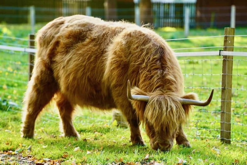 Edinburgh: Iconic Outlander Locations Guided Day Tour - The Grand Setting of Hopetoun House
