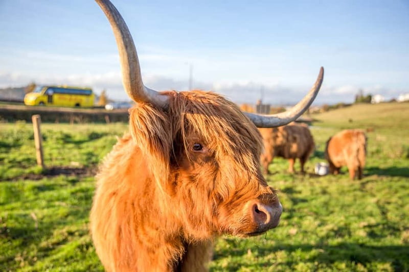 Edinburgh: Isle of Skye, Inverness, and Highlands 3-Day Tour - Accommodation and Comfort