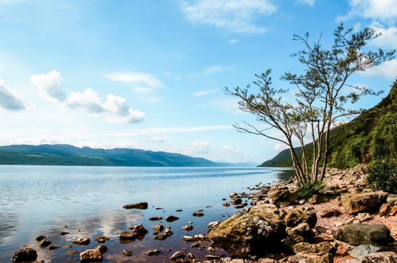 Edinburgh: Loch Ness, Glencoe & the Scottish Highlands Tour - Lunch Break in Fort William