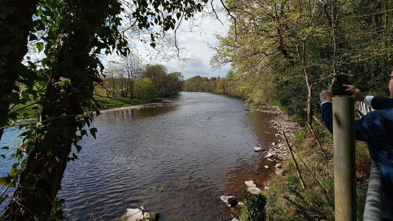 Edinburgh: Private Highland Whisky Tour with Transportation - Who Will Enjoy This Highland Whisky Tour?