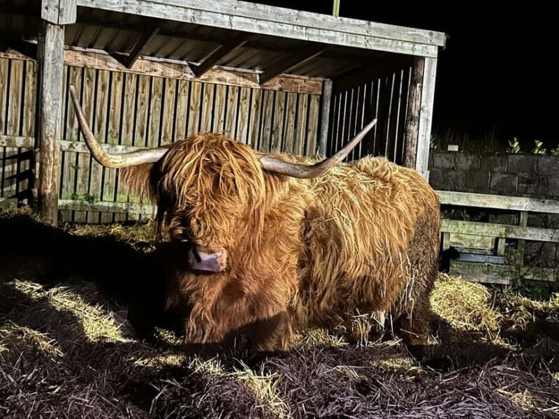 Edinburgh: Private Highlands & Loch Ness Day Voyage - Glencoe: Dramatic Landscapes and Towering Peaks