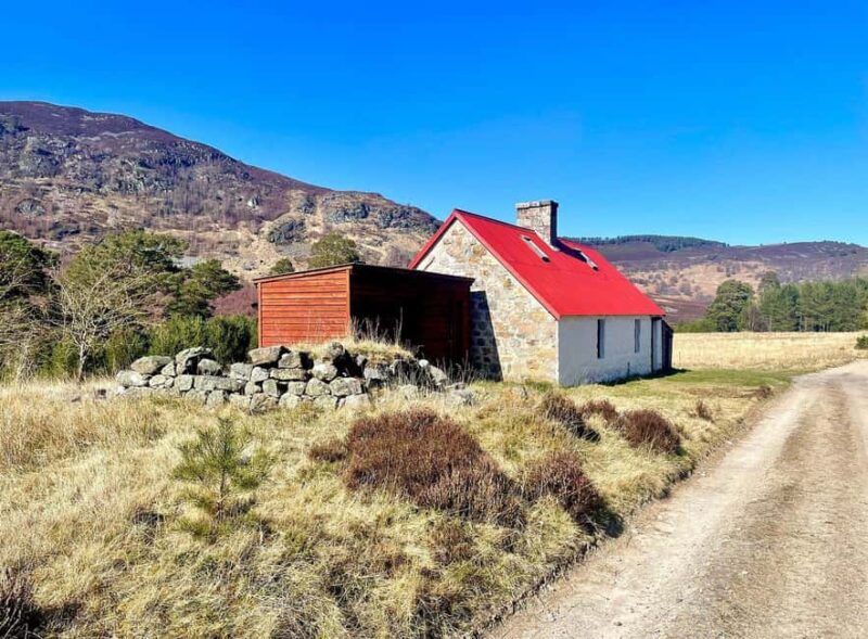 Edinburgh: Private Highlands & Loch Ness Day Voyage - Optional Loch Ness Cruise: Searching for Nessie