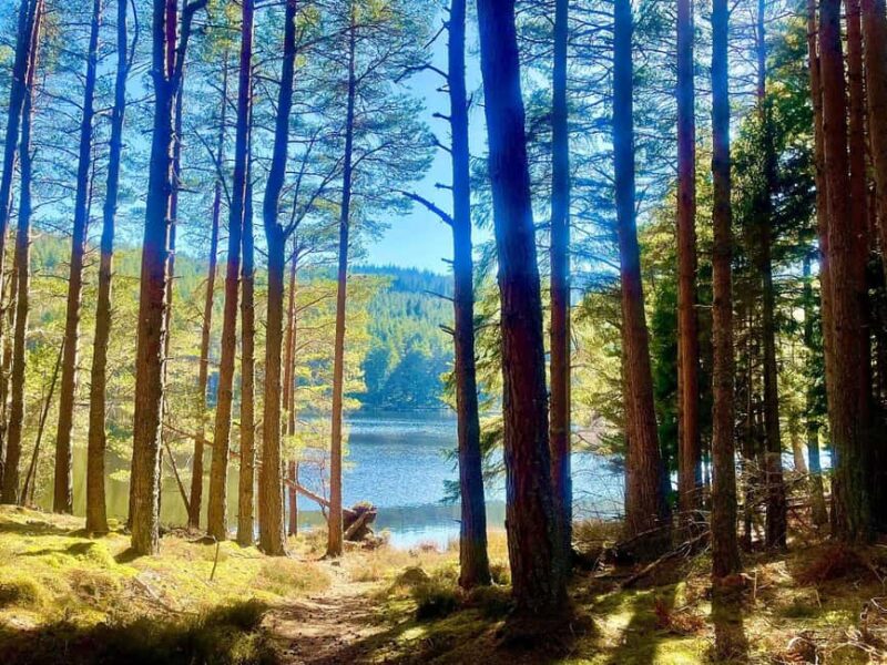 Edinburgh: Private Highlands & Loch Ness Day Voyage - Personalization and Flexibility in the Highland Tour