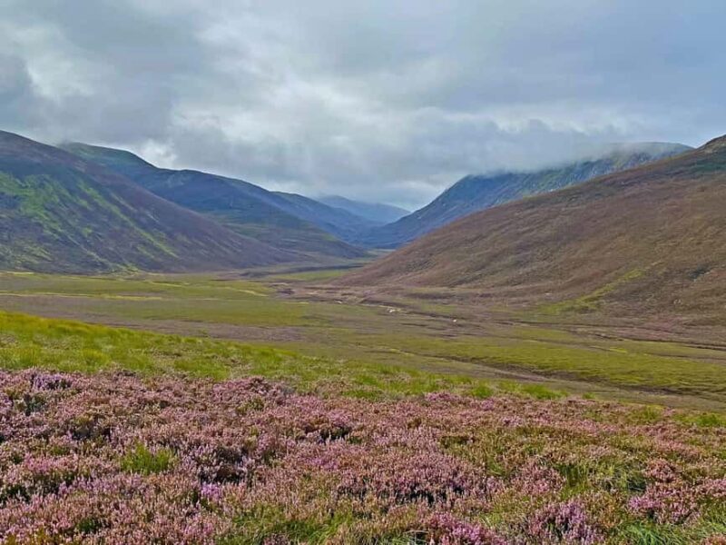 Edinburgh: Scottish Highlands Walking Day Tour with Guide - Visiting Dunkeld: A Picturesque Cathedral Town