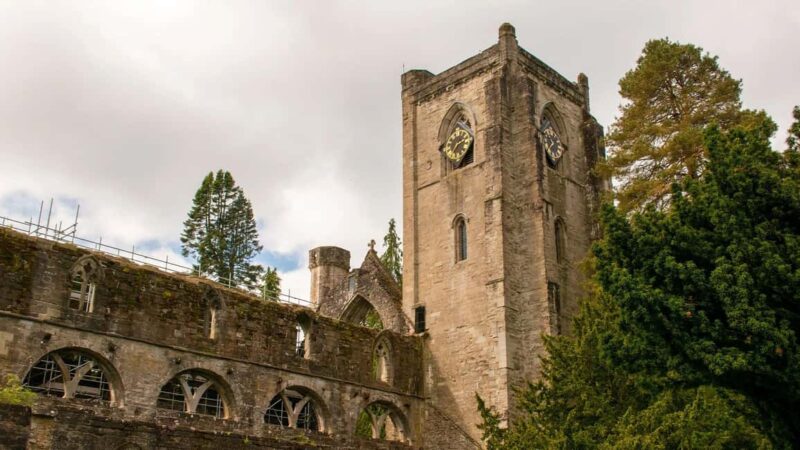 Edinburgh: Scottish Highlands Walking Day Tour with Guide - Walking in Cairngorms: Ancient Forests and Mountain Views