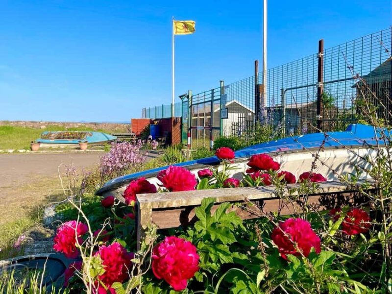 Edinburgh: St. Andrews & Coastal Fife Private Tour - Practical Details and Booking Options