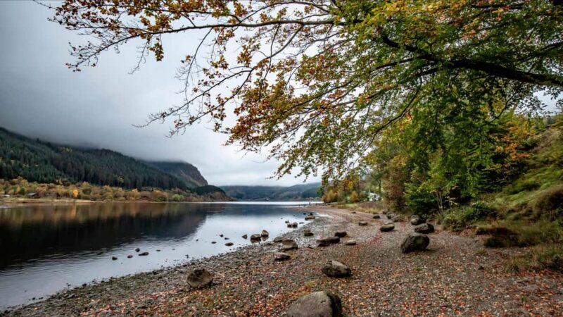 Edinburgh: West Highlands, Kilchurn & Inveraray in Spanish - Discovering St Conans Kirk’s Unique Architecture