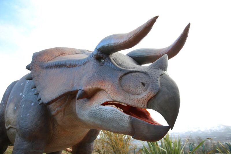 Edinburgh Zoo Entrance Ticket - Family-Friendly Activities and Facilities