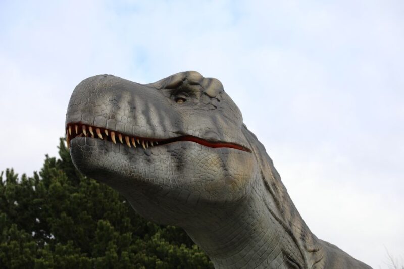 Edinburgh Zoo Entrance Ticket - Practical Information: Booking, Accessibility, and Timing