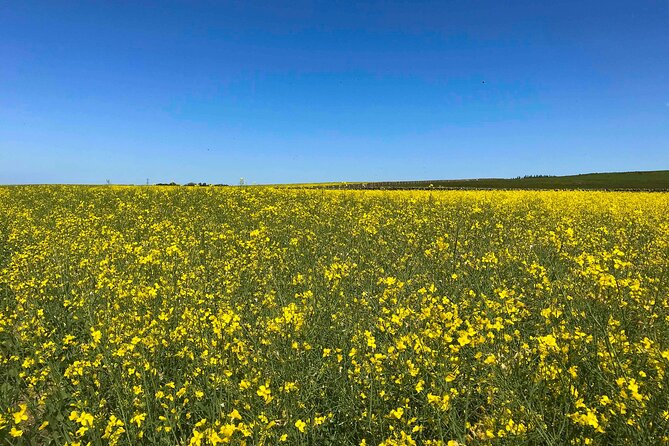 Edinburgh's Landscapes Tours with a Local Guide: Private & Personalized - Practicalities and Additional Details