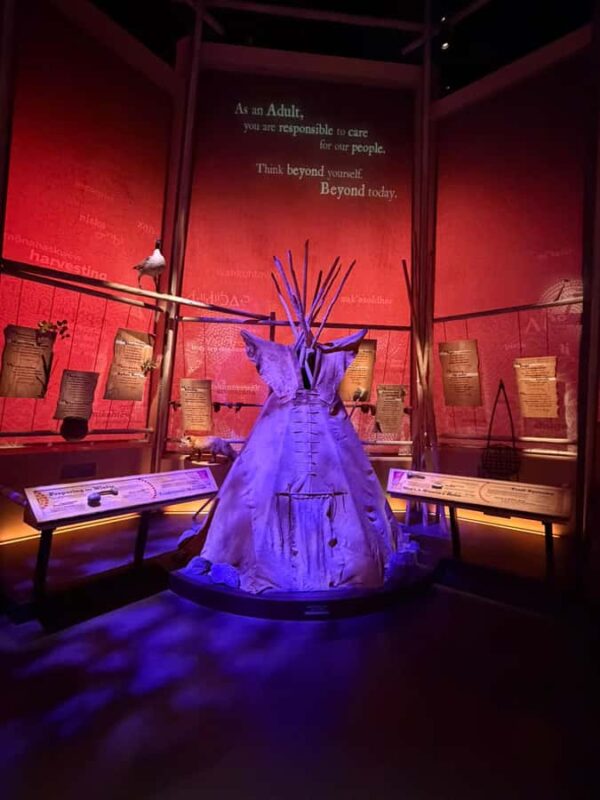 Edmonton: Indigenous Heritage Tour with Minivan Transport - Key Points