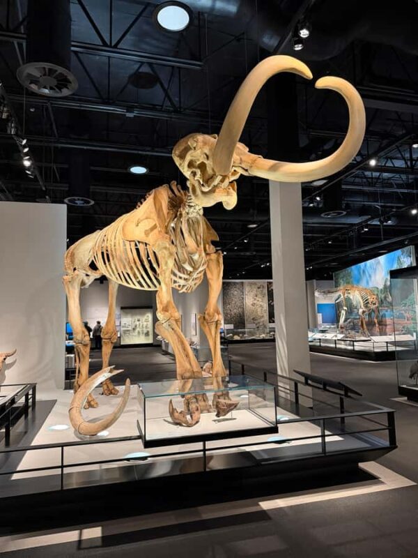 Edmonton: Museums and Muttart Conservatory Tour - Frequently Asked Questions