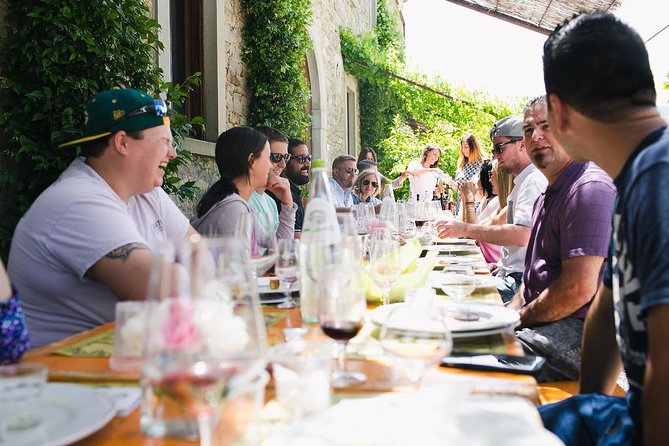 Educational Olive Oil Tasting - Authentic Olive Oil Education in Tuscany for $31.11