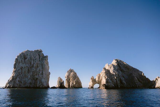Educational Sunrise Whale Watching with Photos Included - The Best Choice for Peaceful Whale Watching in Cabo