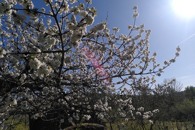 Educational visit of a Certified Organic Micro Farm in Trancoso - Discover the Organic Permaculture Farm in Trancoso