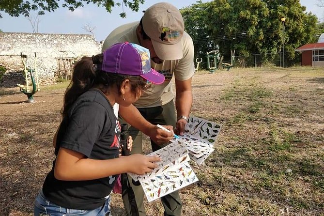 Edzná, the house of the Itzaes - Guided insights from Berenice, a highly praised expert