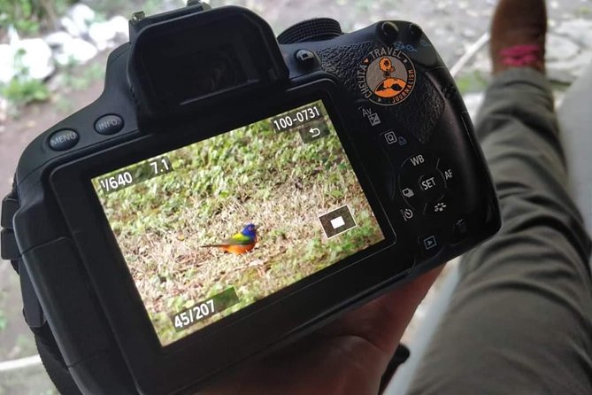 Edzná, the house of the Itzaes - Seamless logistics with pickup and mobile tickets