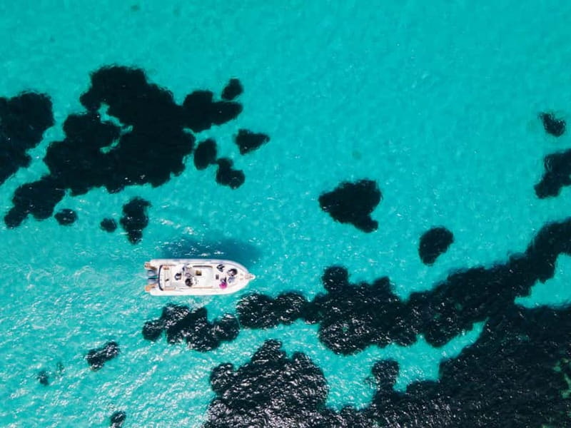 Egadi Boat Experience: Favignana & Levanzo from Trapani - A Relaxed Lunch Break on Favignana