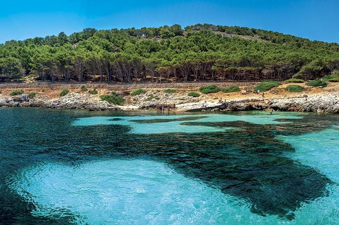 Egadi Sail Boat Tour to Favignana and Levanzo from Trapani - Why This Tour Excels: Guides, Comfort, and Swimming